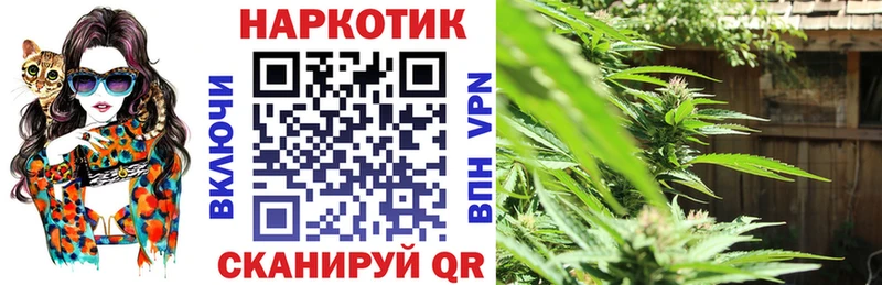 Виды наркоты Ярцево СК  Метамфетамин  Канабис 