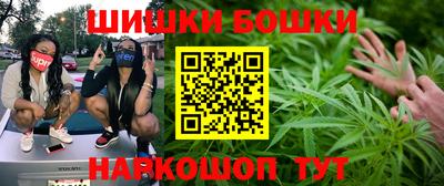 МДПВ Гагарин